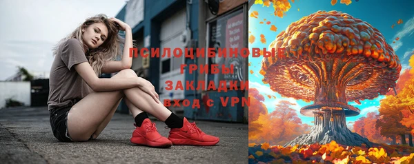 стафф Алзамай