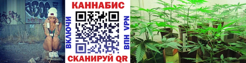Марихуана конопля Навашино